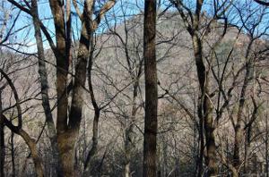 Lot 30 Summit Court