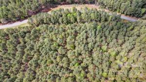 Lot 3 Catawba