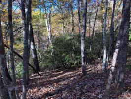 111 Wilderness Road W