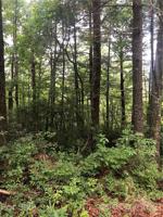 6 Chestnut Cove