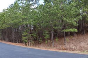 Lot 163 Greens