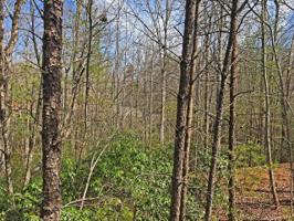 LOT 61 Lakewood Drive
