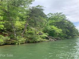 LOTS 19 & 20 Buffalo Shoals
