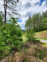 319 Table Rock Trace NW