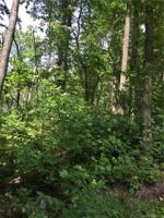Lot 25 Bluebird Terrace