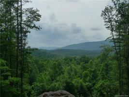 1621 Pisgah Preserve Drive