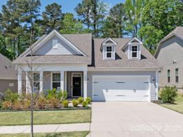 14114 Goldenrod Trace Road