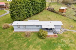 204 Kudzu