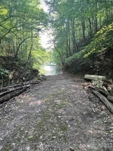 Lot 2 Calvin-Cove