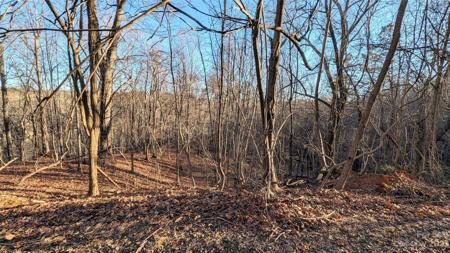 16 Ridgeview Circle