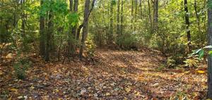 8476-8475 Catawba Cove