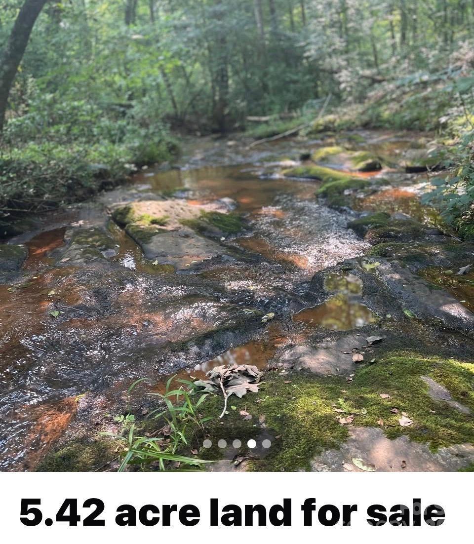Image 2 Image 2