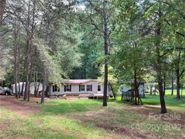 355 Knotty Pine