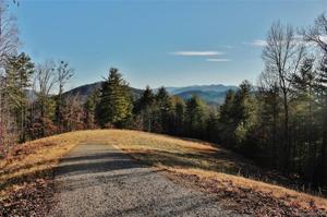 Lot #100-16 Ridge View Drive
