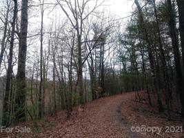 TBD Wellspring