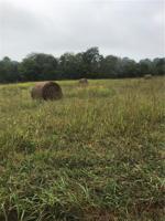 00 Old Homeplace Road