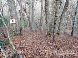 TBD Wellspring