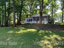 9877 Pine Tree