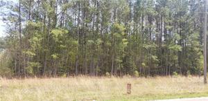 0000 Catawba River