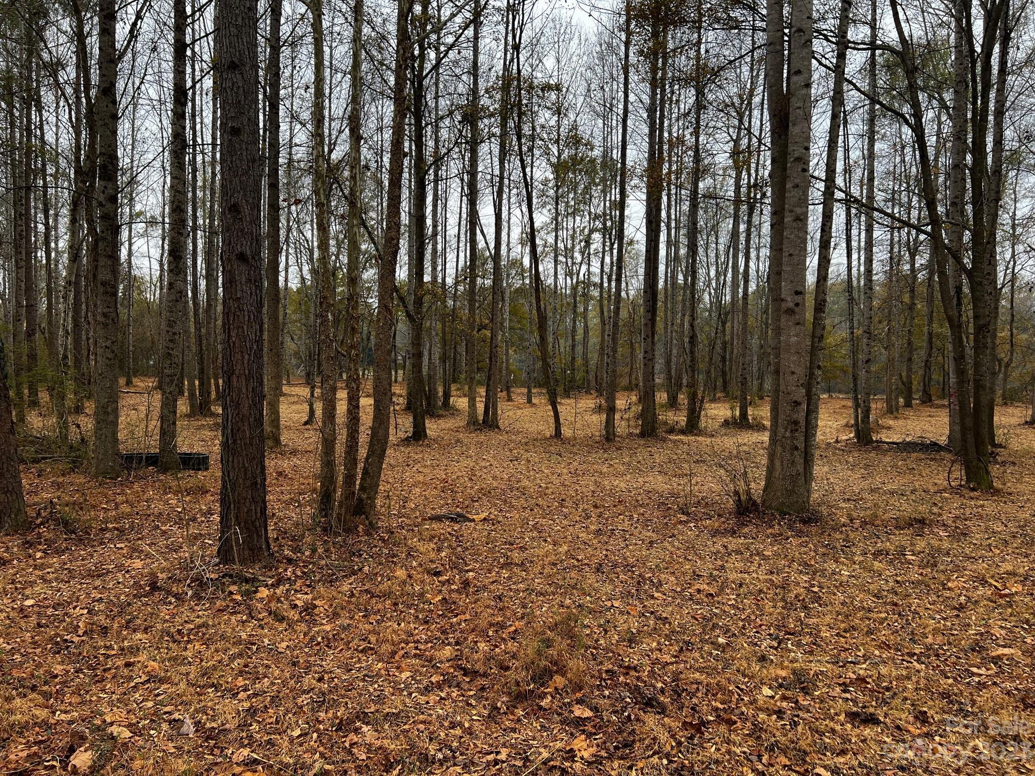 Image 4 Image 4