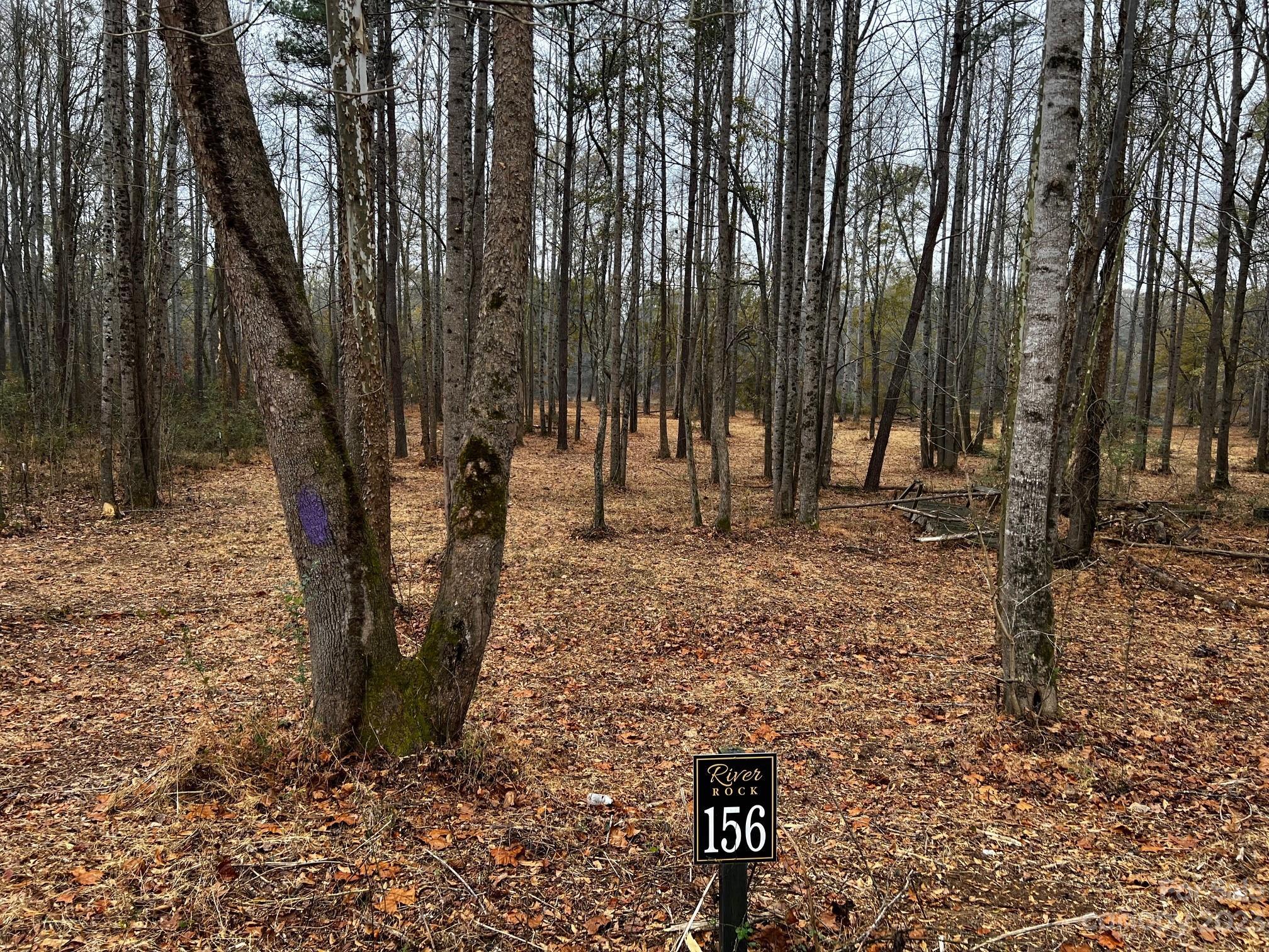 Image 4 Image 4