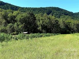 1235 Conner