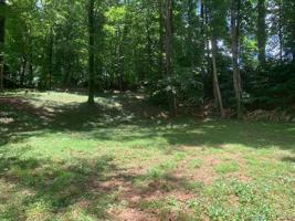 119 Wedgewood