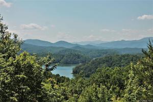 Lot #87 Appalachian