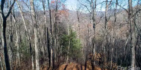 00 Woodbridge
