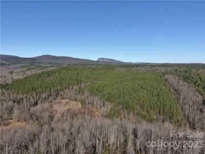 V/L 54 Bear Cliff