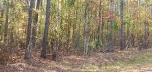 Lot 3 Foxridge
