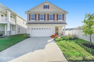 15006 Cordelia