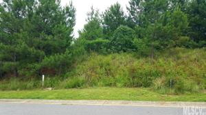 00 Blackhawk Ridge