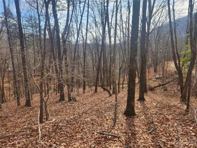 Lot 83 Walnut Lane