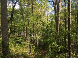 0000 Windsong Lane
