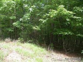 Lot 19 South Pointe