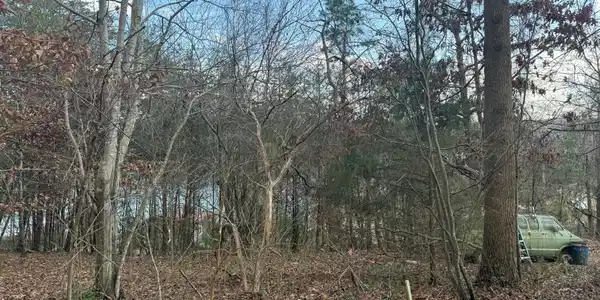 3 Crappie Cove Lane