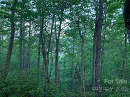 0000 Hawks Nest Trail