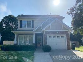 429 Silver Cypress