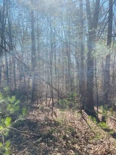 Image 1 Image 1