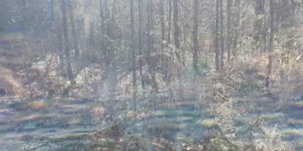 Image 2 Image 2