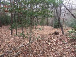 Lot 16 Shumont Estates Drive