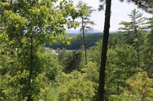 2036 Catawba Trail
