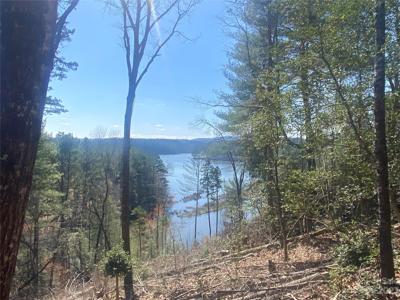 Lot 247 Scenic