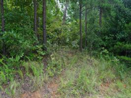 LOT 5 Mcintosh Circle
