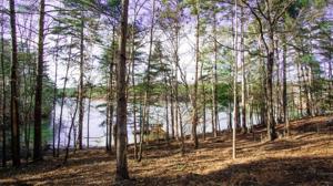 48 Peaceful Cove Court