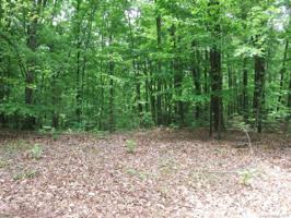 LOT 7 Whitney Boulevard