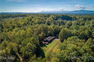 4411 Georgia Pines