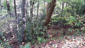 Lot 83 Grandview