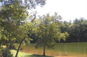 1394 Lake Vista Drive